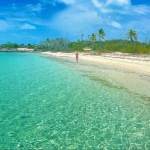 Meet your Posher, Seagren